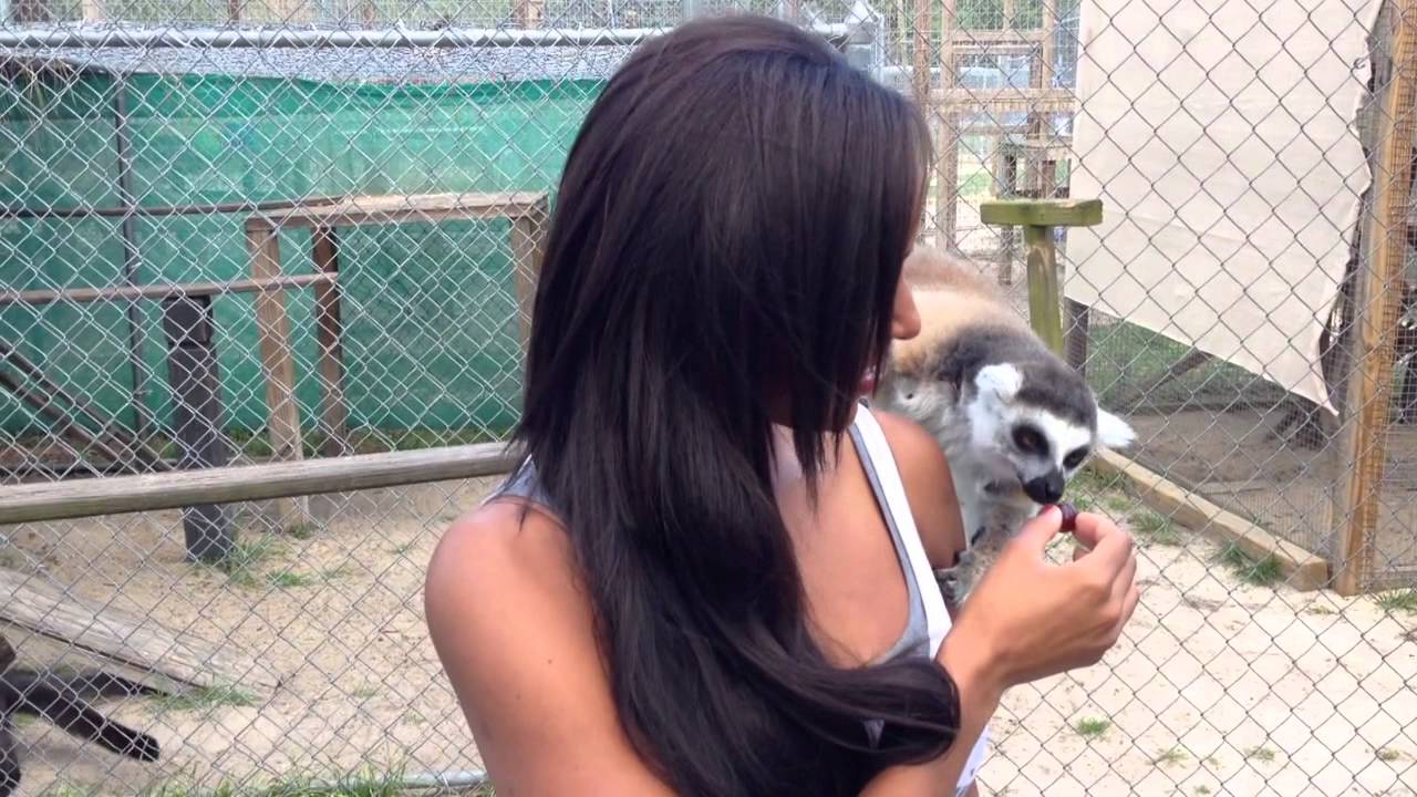 Brandi Rhodes aka NXT's Eden visits a Wildlife Sanctuary  - Video Blog: March 19, 2014
