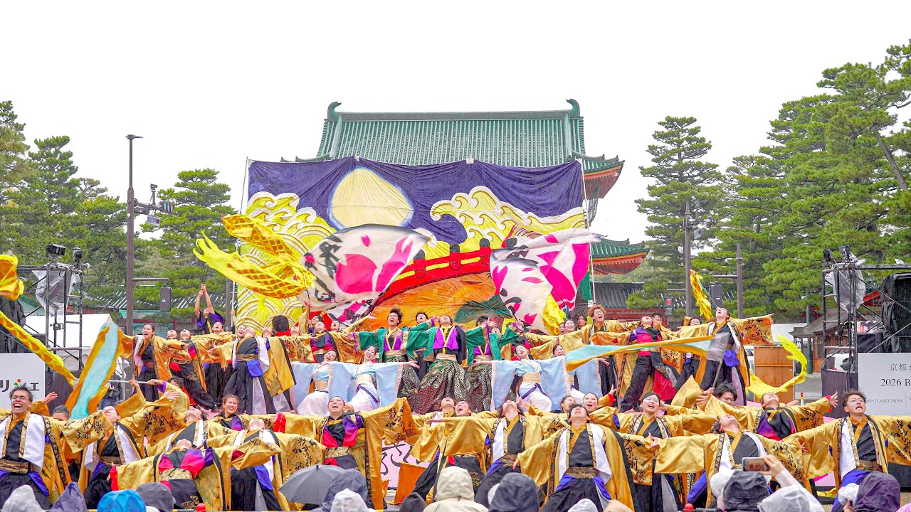 [4K] 京炎そでふれ！彩京前線　2026年度演舞『耀彩(かむい)』初披露　京都さくらよさこい 2026 さくよさ 土曜日