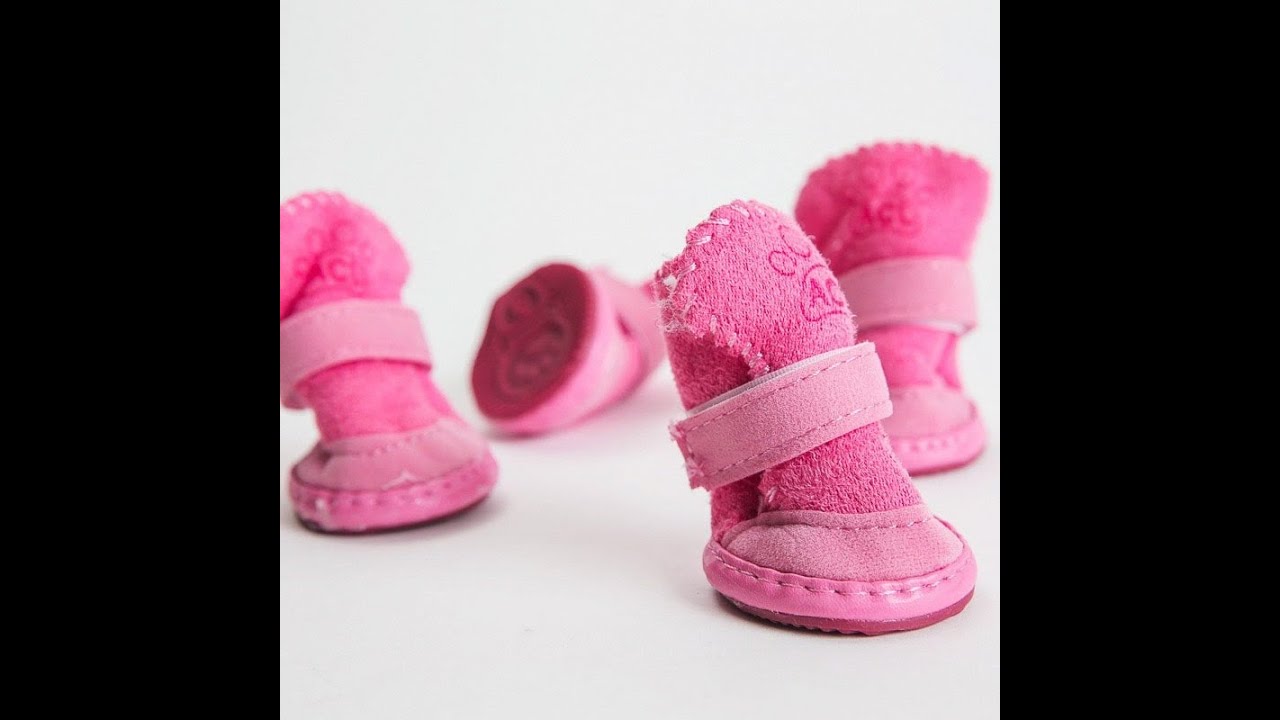 Myke vintersko til hund