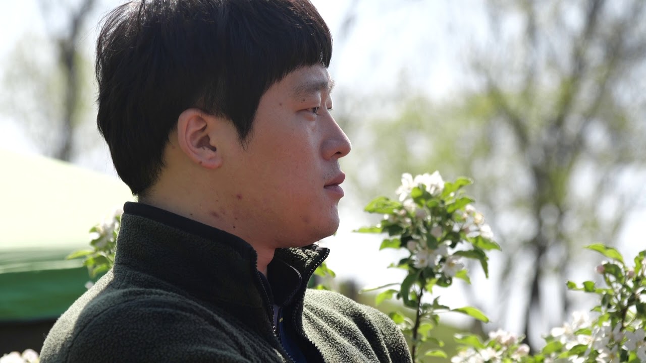 FTV월만사