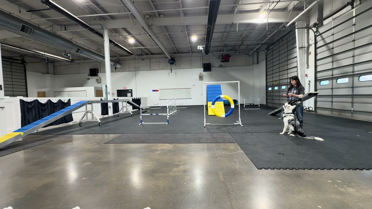 (1/14/26) Agility, Session 1