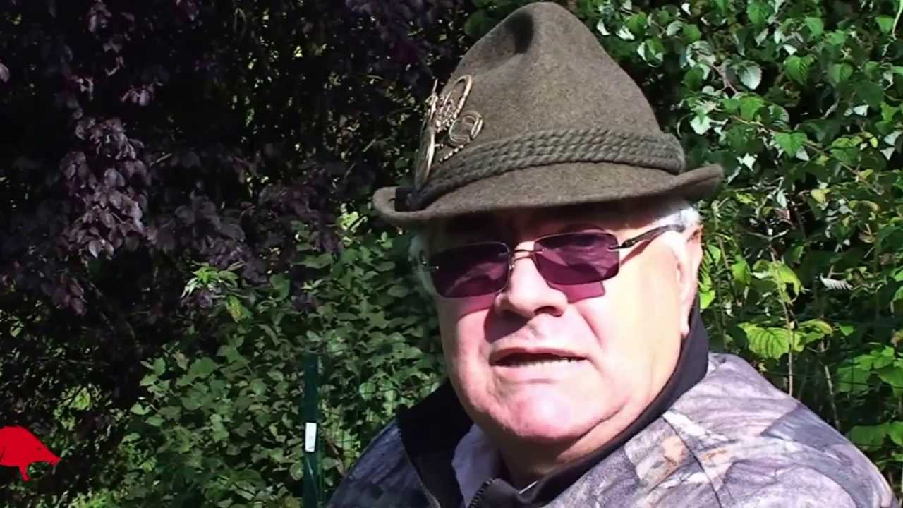 Chasse du sanglier en battue : respectons la magie de la traque