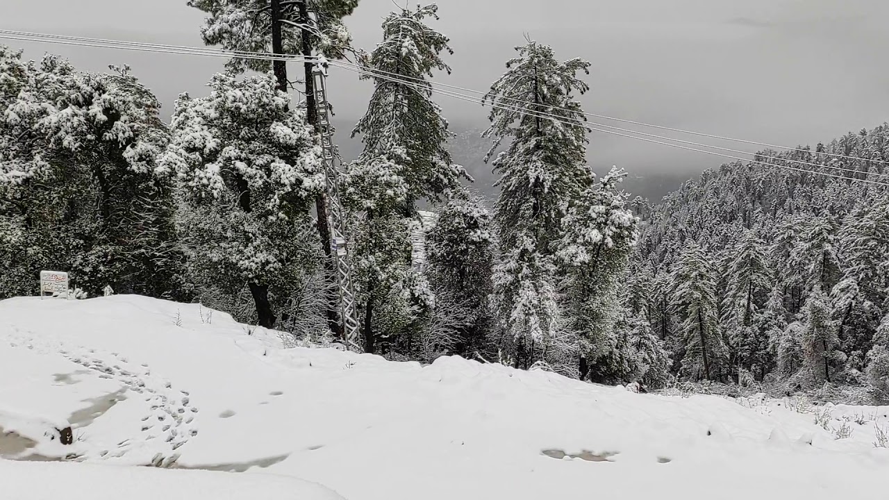 Murree SnowFall View | Video 4 | Murree SnowFall 2021 | 5 January 2021 | Noman Mehar