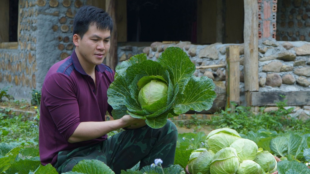 From Garden to Market – I Sold My First Organic Cabbages After Months of Hard Work