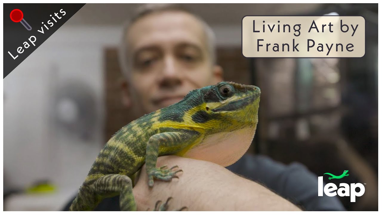AMAZING Reptile Breeder Frank Payne's Reptile Room!