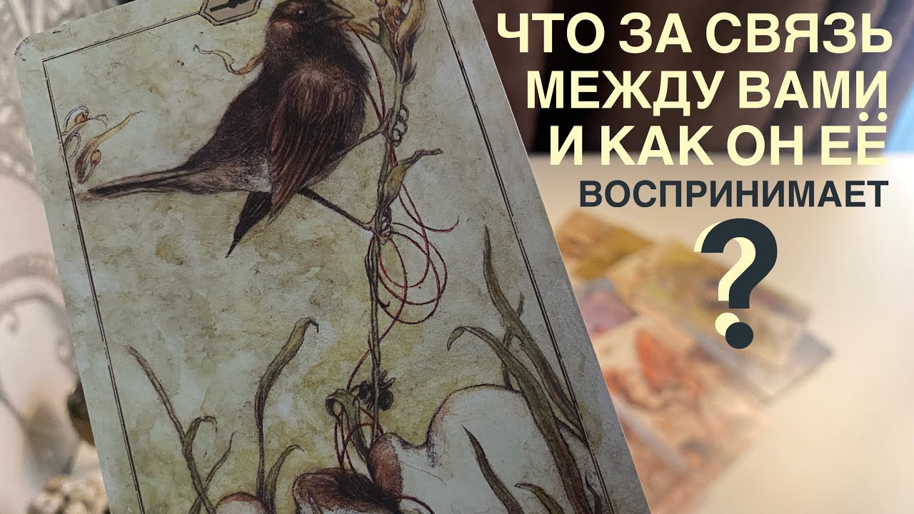 Что за связь между вами и как он её воспринимает?