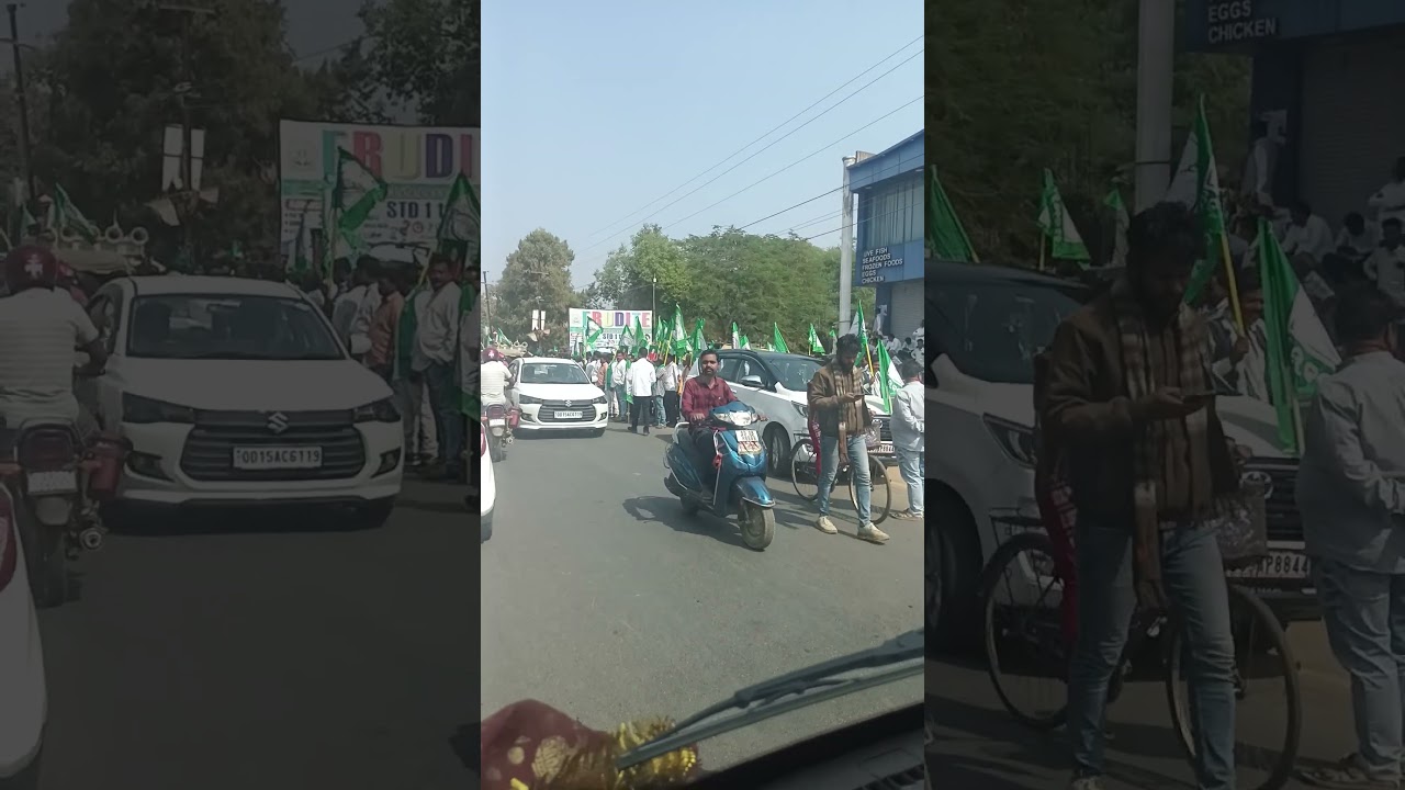 bjd party