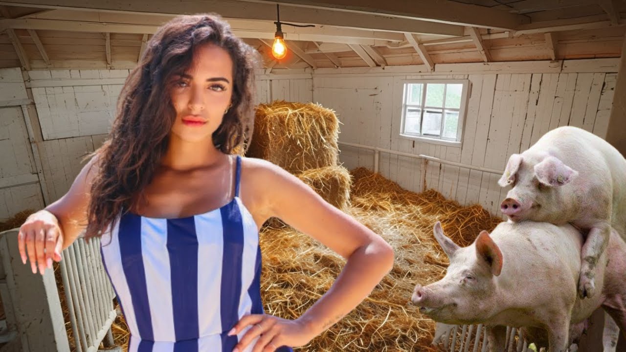 Good Communication Between Boar and Sows #WITHME