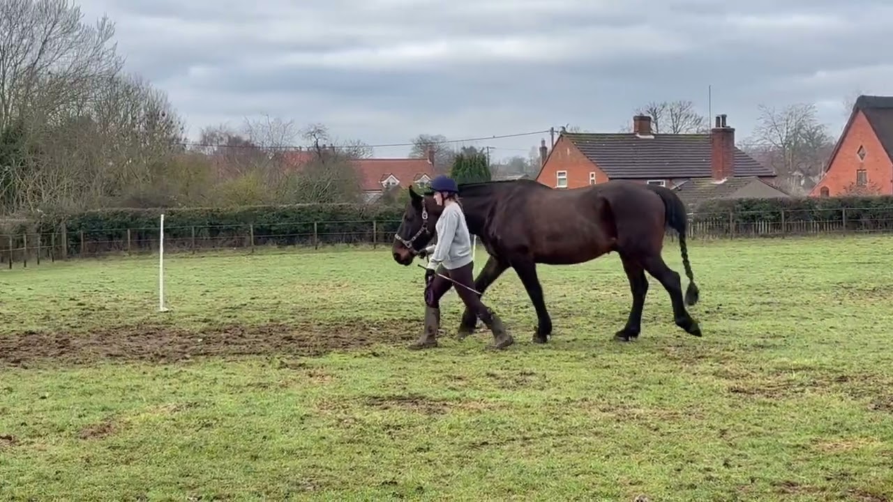 Charlotte Key and Ozzy, Inhand Walk Only, January 2026