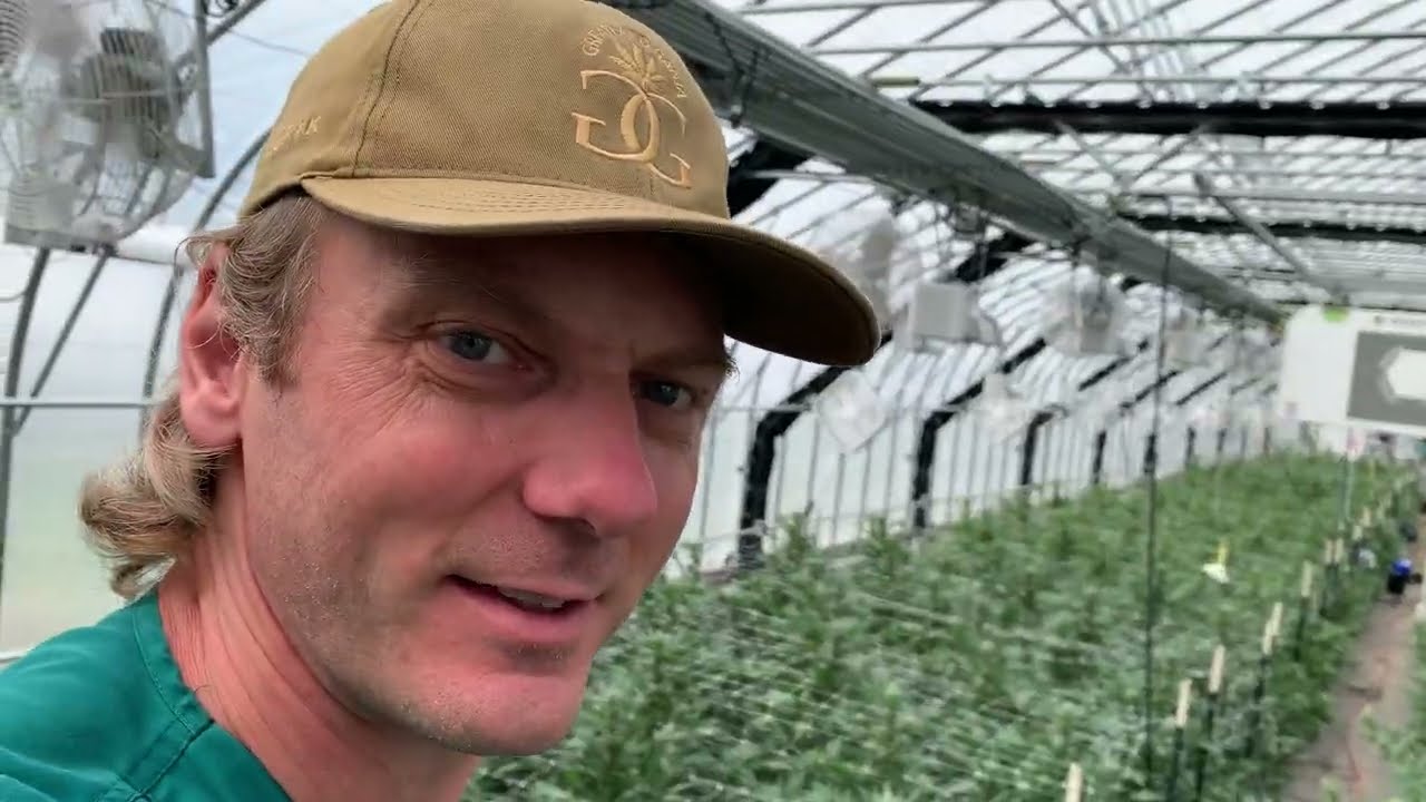 Greatland Ganja Bio Dome Cannabis Crop Tour 2024 Week 5 of Flowering!