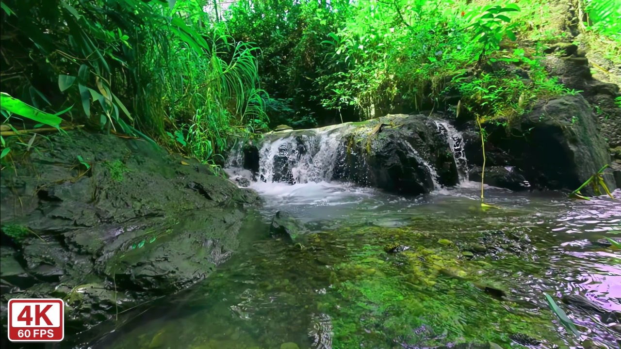 10 Hours Forest River Nature Sounds | Peaceful Water Ambience for Sleep (No AI)