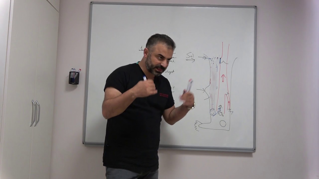 Radyofrekans / Lazer ila varis tedavisi sonrası Varis ve Lenf&ouml;dem oluşması - Prof. Dr. Ahmet AKGUL