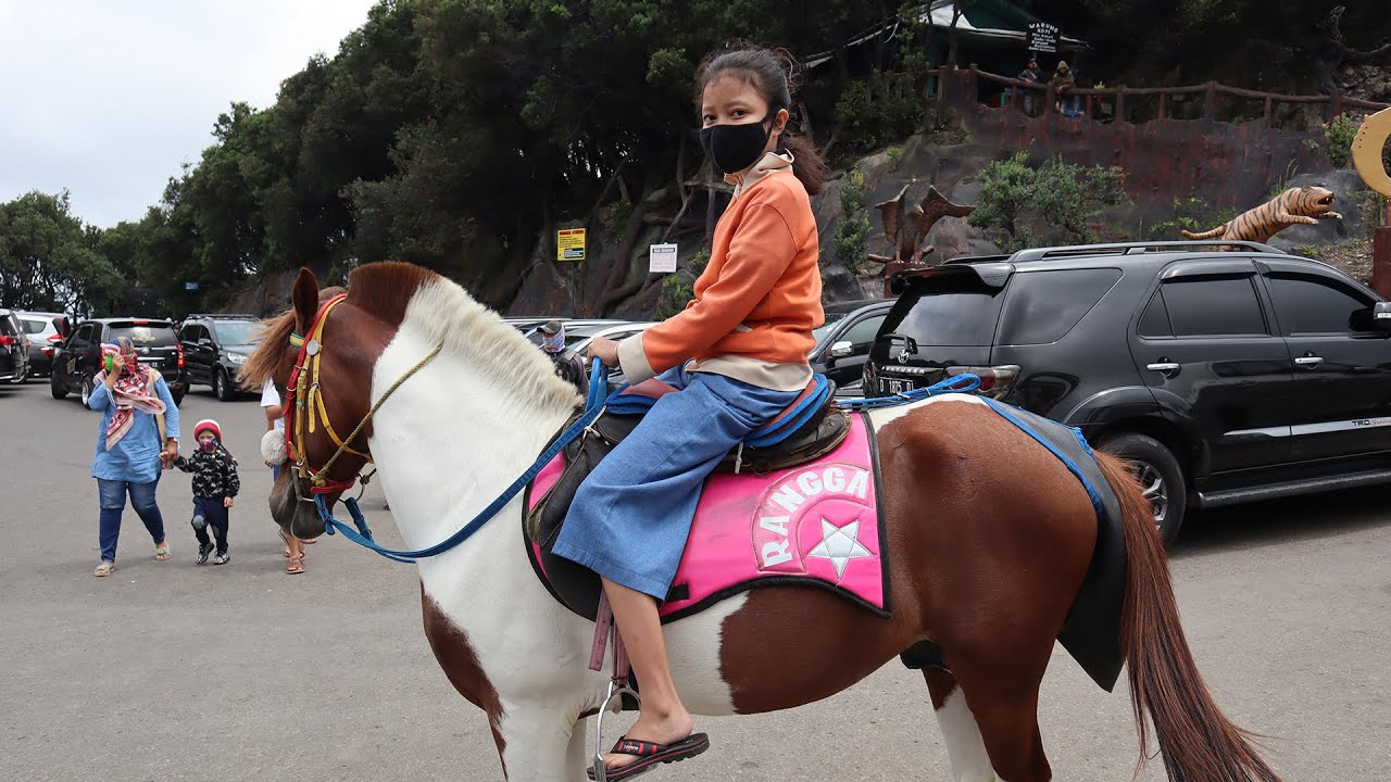 Novelian Naik Kuda di Gunung Tangkuban Parahu