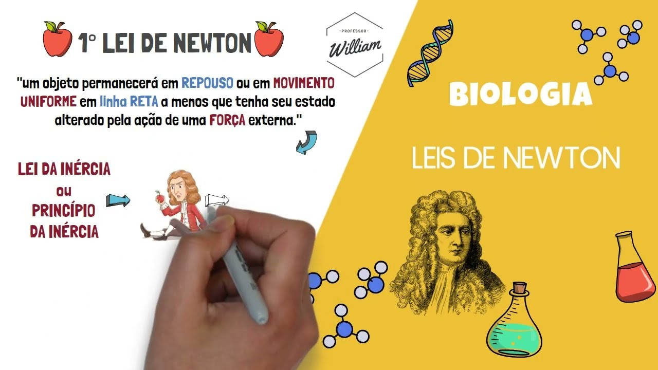 RESUMO sobre as Leis de Newton