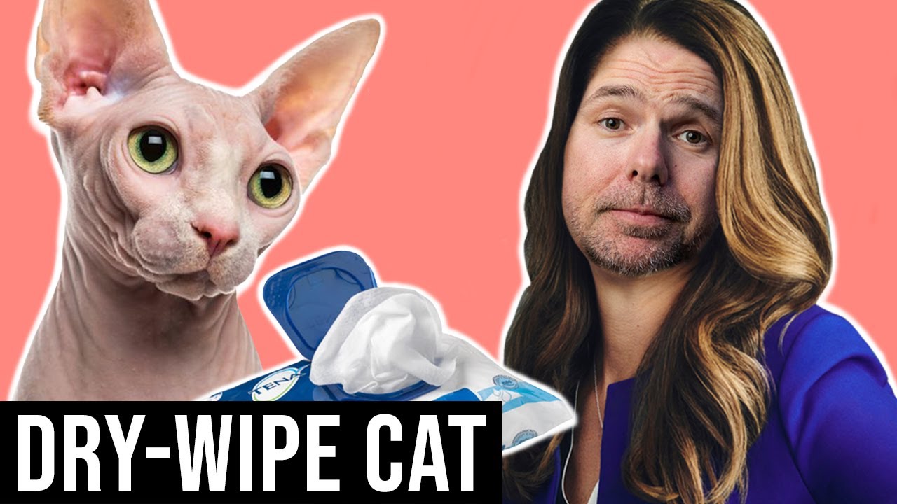 Ricky Gervais Radio Show S2E21 | Dry-Wipe Cat