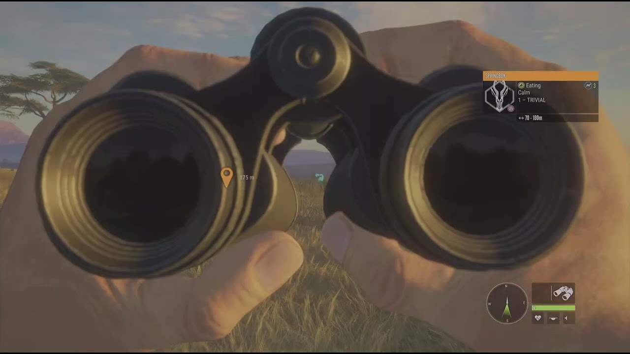Hunting in the Savannah...