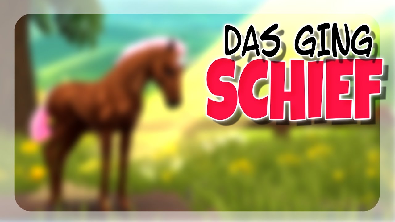 DAS GING IHRGENDWIE SCHIEF 🌟🐴 STAR EQUESTRIAN