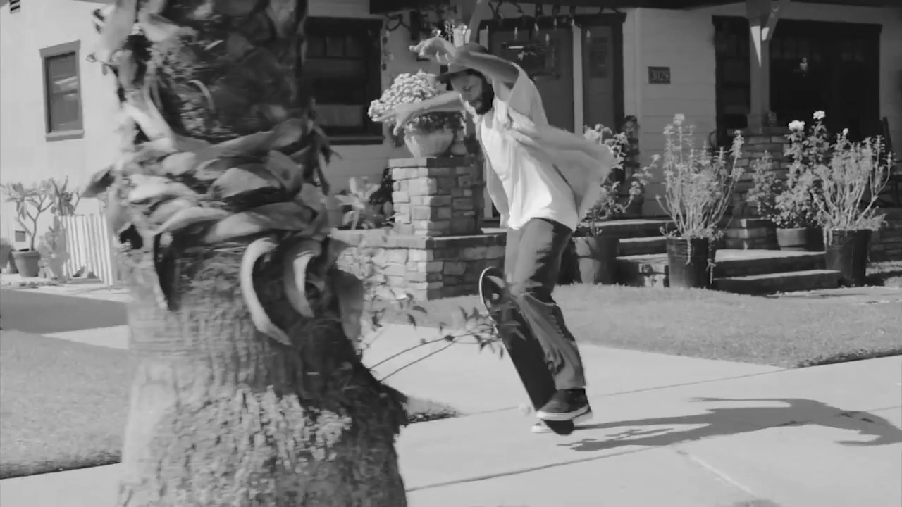 Ray Barbee 2016 fun edit