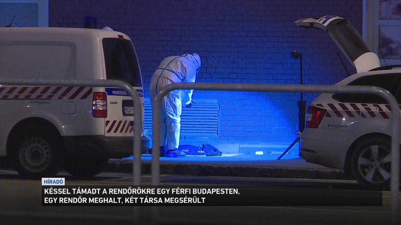 Késsel támadt a rendőrökre egy férfi este a fővárosban