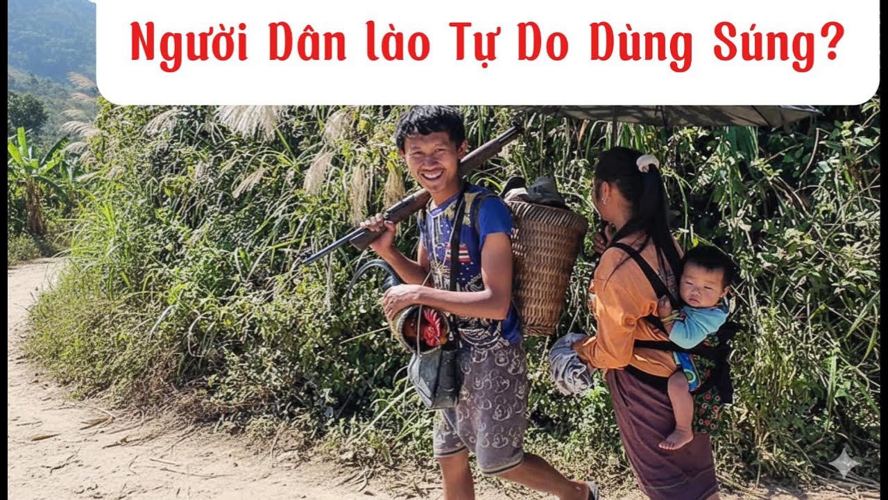 Người Dân Được Tự do Dùng S.ú.ng ở Bên Lào? Đúng Hay Sai?