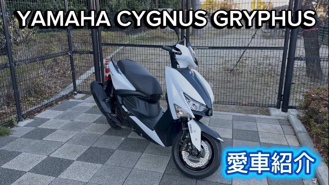 YAMAHACYGNUS GRYPHUS2025年式の紹介