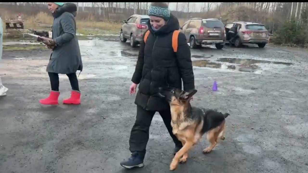 ОКД. Джая.