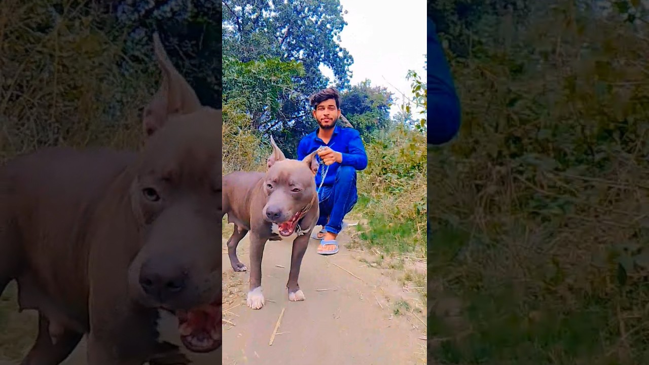 #video