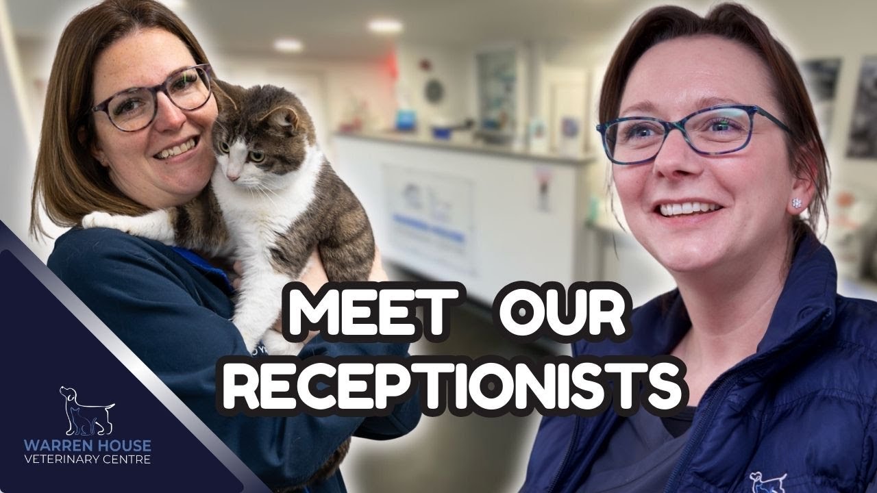 Why Our Receptionists LOVE their job (2024)