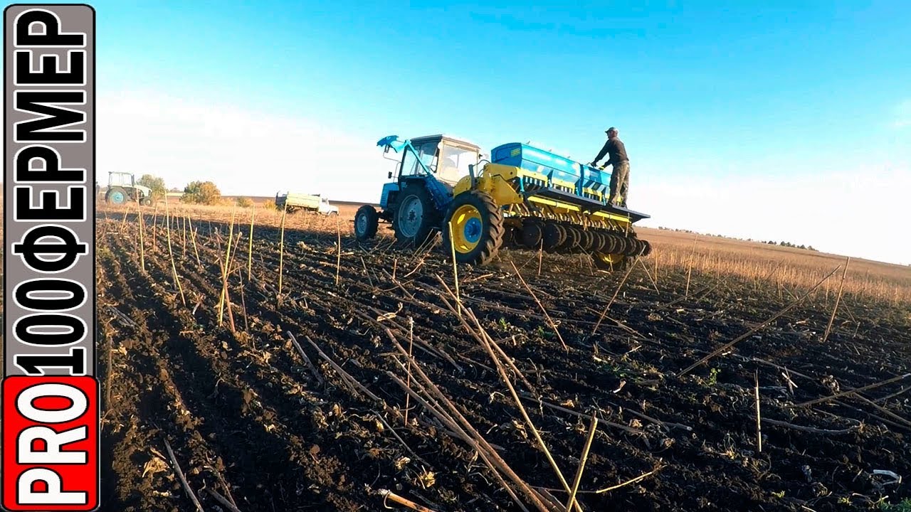Прямой посев озимой пшеницы  2019 г.  Часть 1