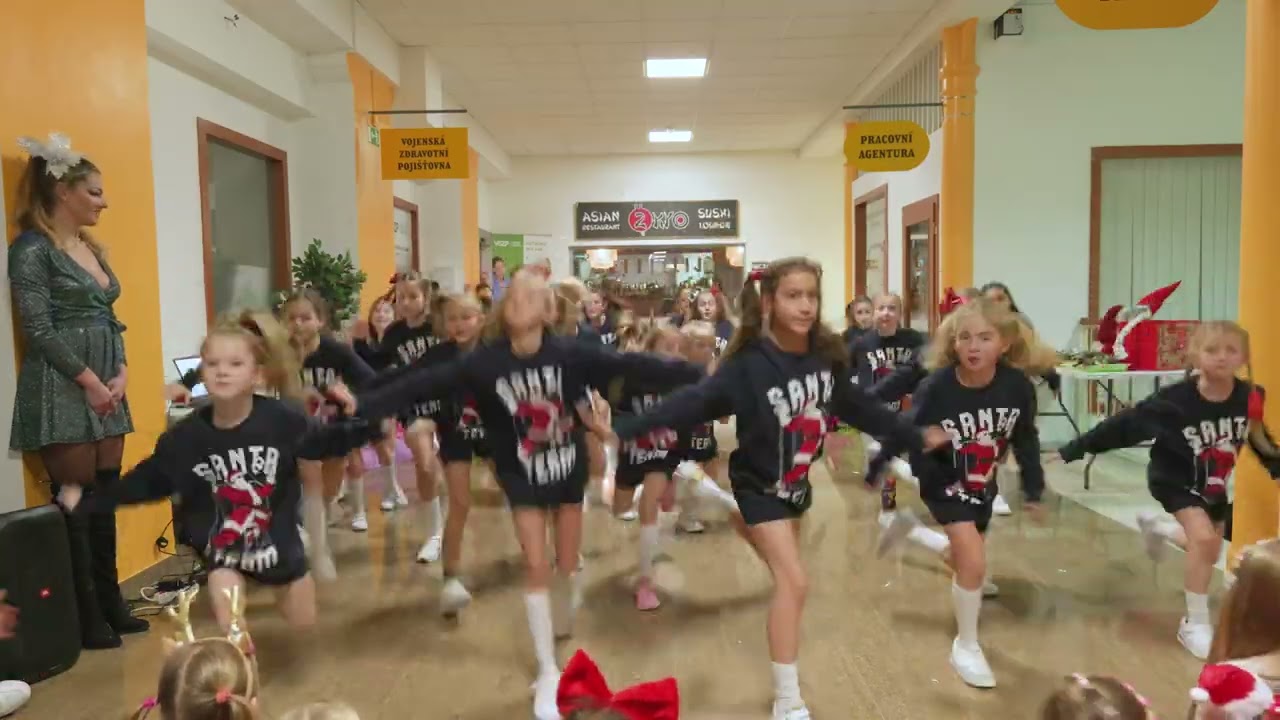 S.araH. Vánoční 2023 Surikaty