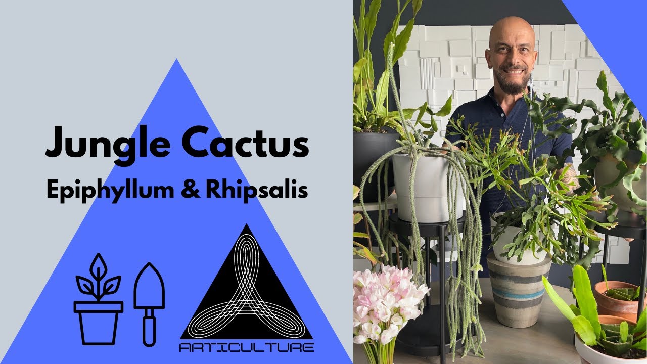 Jungle Cactus