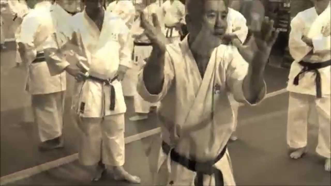 TAIRA SENSEI ITALY SEMINAR 2015 - UDINE, APRIL 10-12, 2015