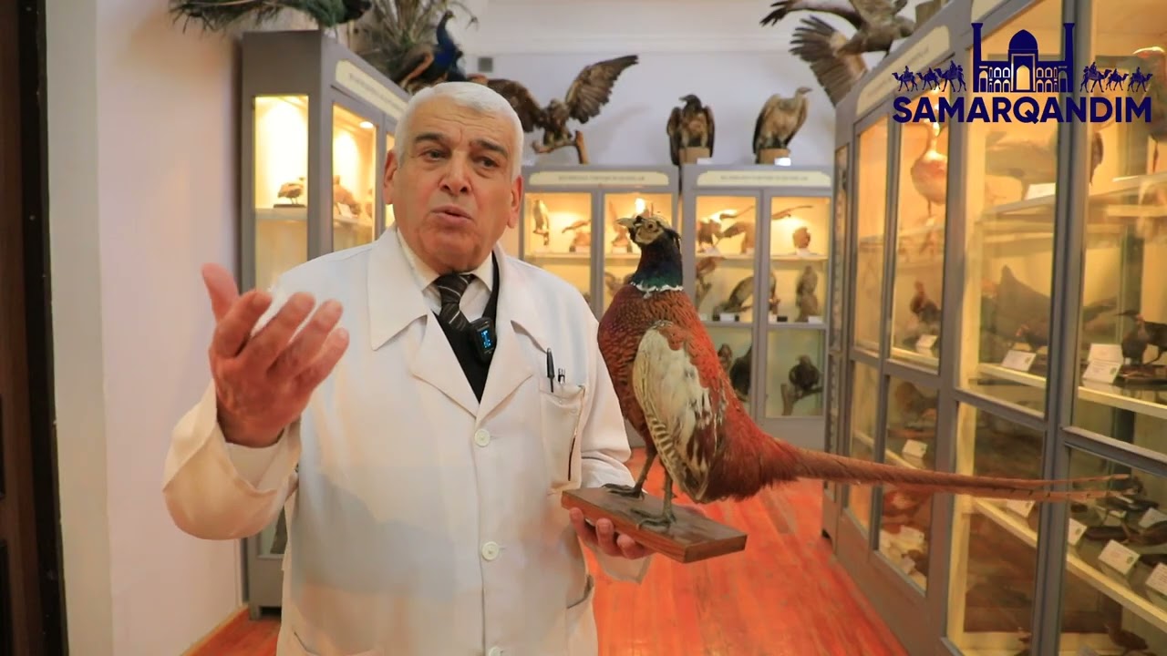 Qirg'ovul Qizil kitobga kiritilganmi?