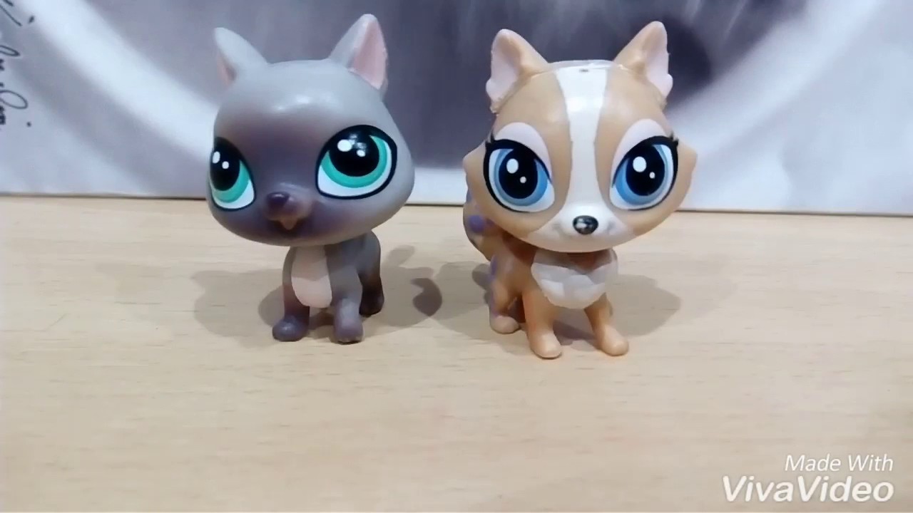 Мои LPS и подделки,аксессуары  (вместе с LPS Cat TV nyan😽)💕