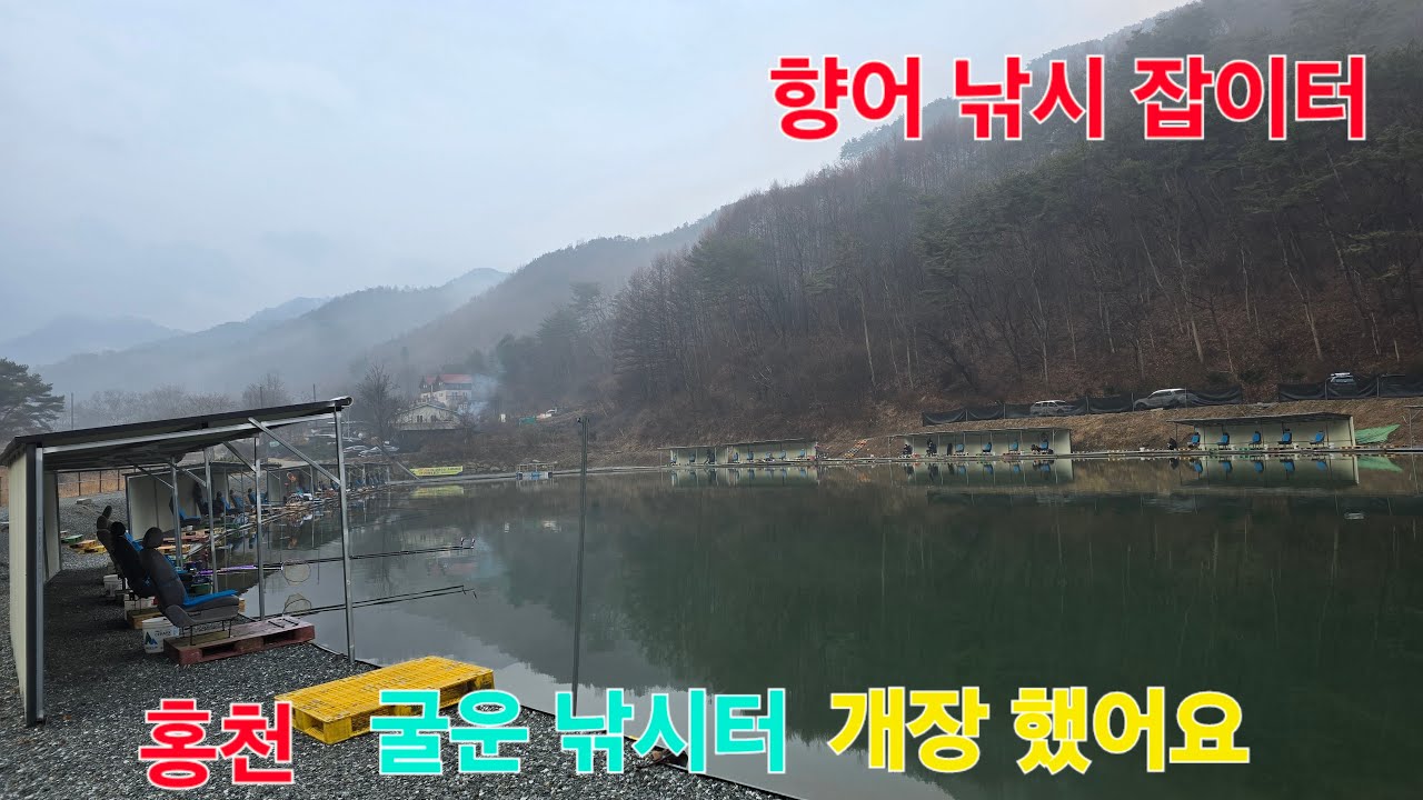 홍천 굴운 낚시터 개장 했어요 향어 낚시 잡이터