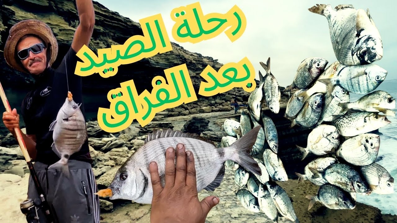 من العزاء إلى المغامرة: استكشاف مصيد جديد وصيد وفير من الأسماك