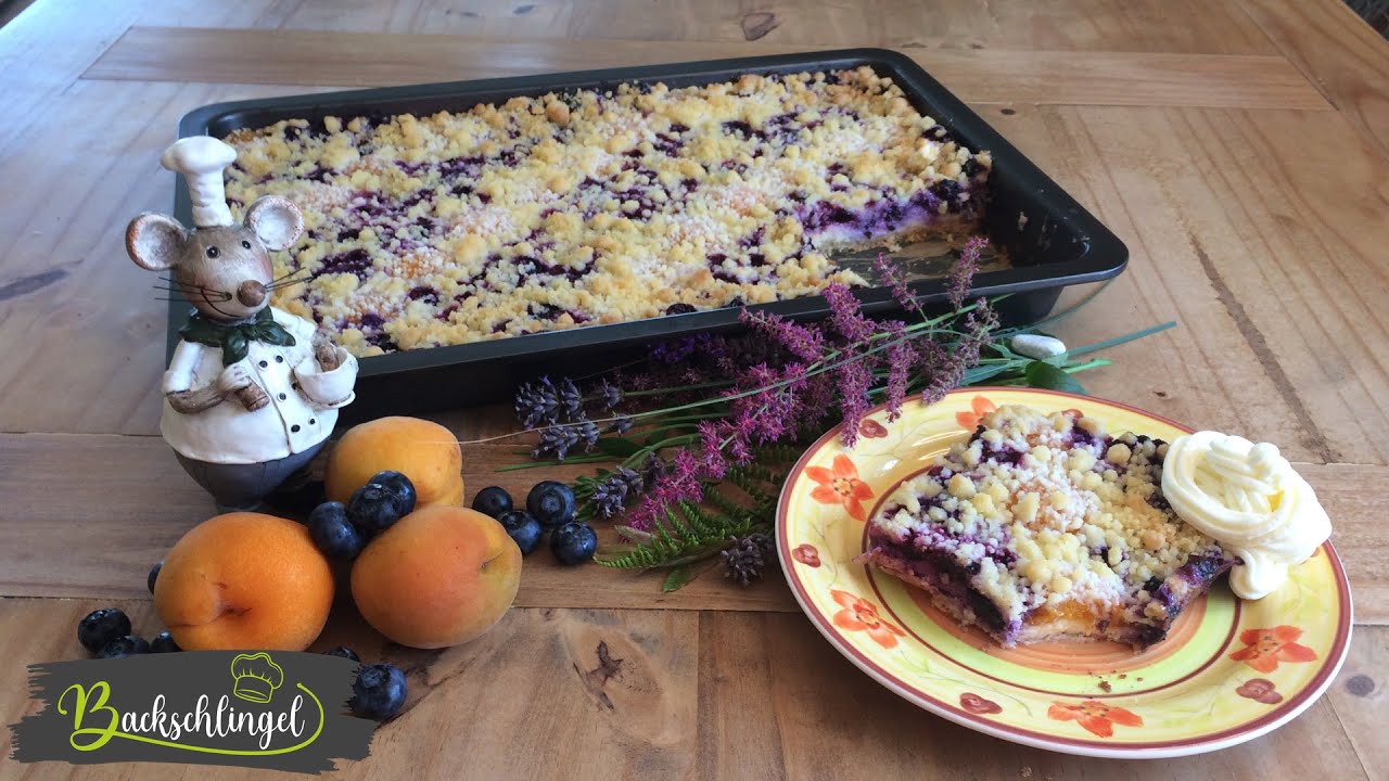 Käse-Streuselkuchen mit Aprikosen & Heidelbeeren 🍇🍑 | Backschlingel