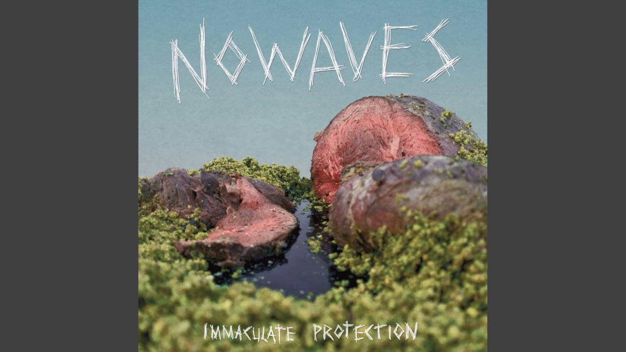 Nowaves - Oyster