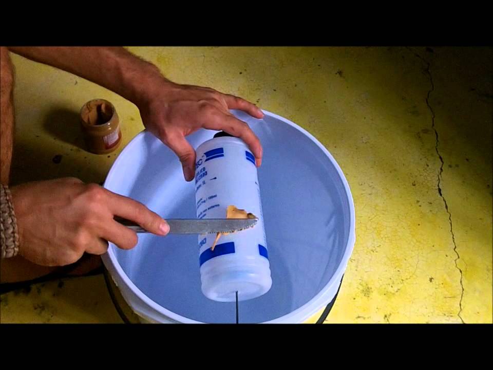 Super Homemade Rat Trap!