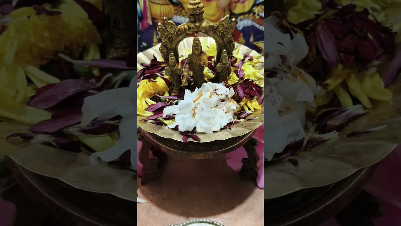 Today's Tumkur Rayara mata # Navaratri pooja 