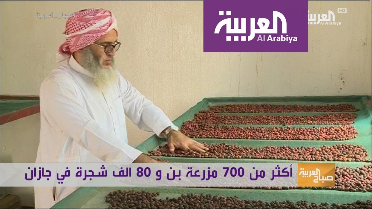 صباح العربية | الداير - بني مالك منجم بن السعودية