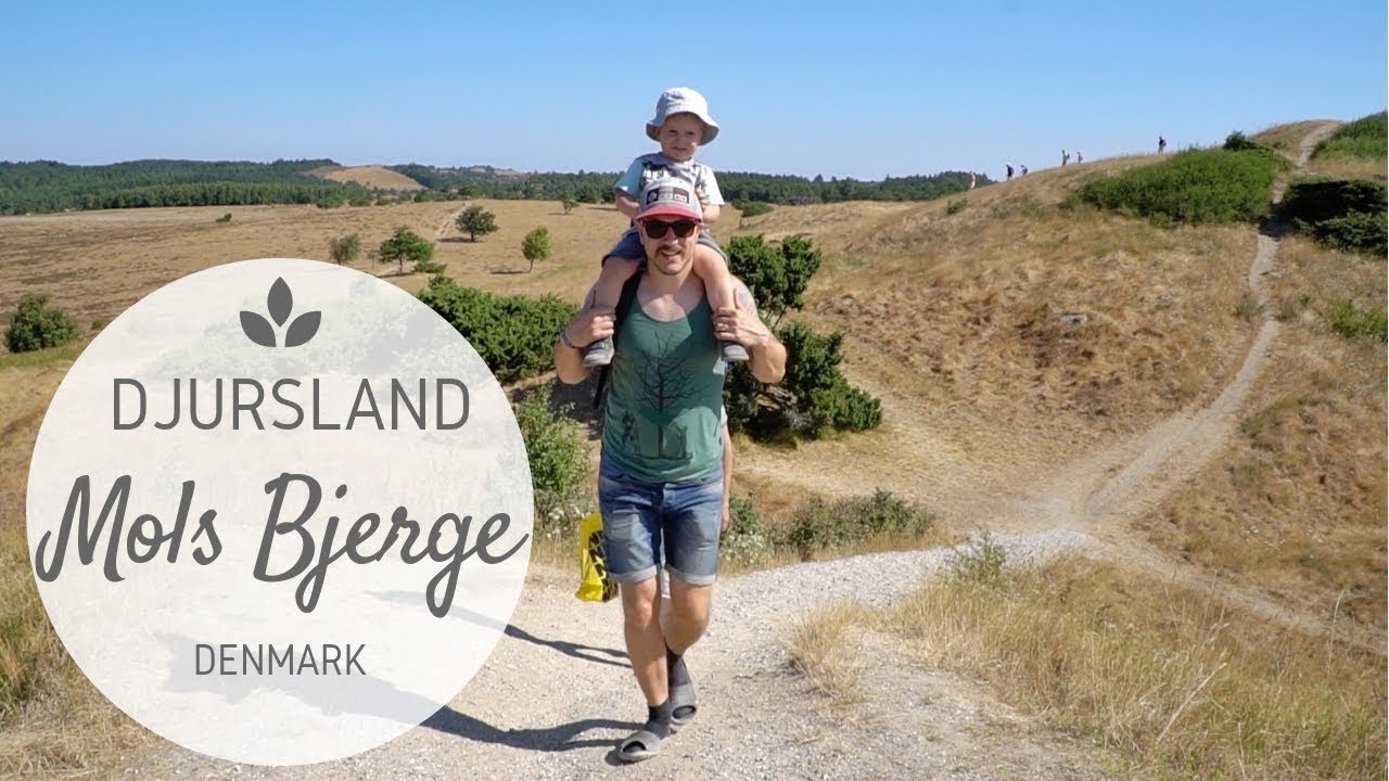 Amazing Mols Bjerge Nationalpark Near Ebeltoft | Ferie i Danmark - Djursland