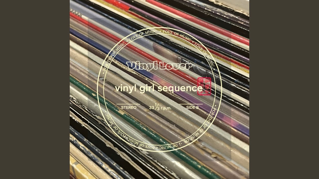 Vinyl Lover