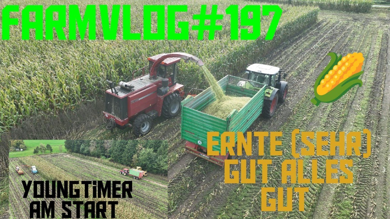 Farmvlog#197 ab in den Keller/ rep. Mengele SF 300 / Case 7400 frisst mein Mais/ Youngtimern im Mais