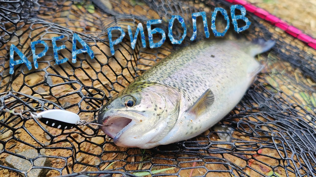 СТАРТ на АРЕА сезона! Нова въдица и макара.