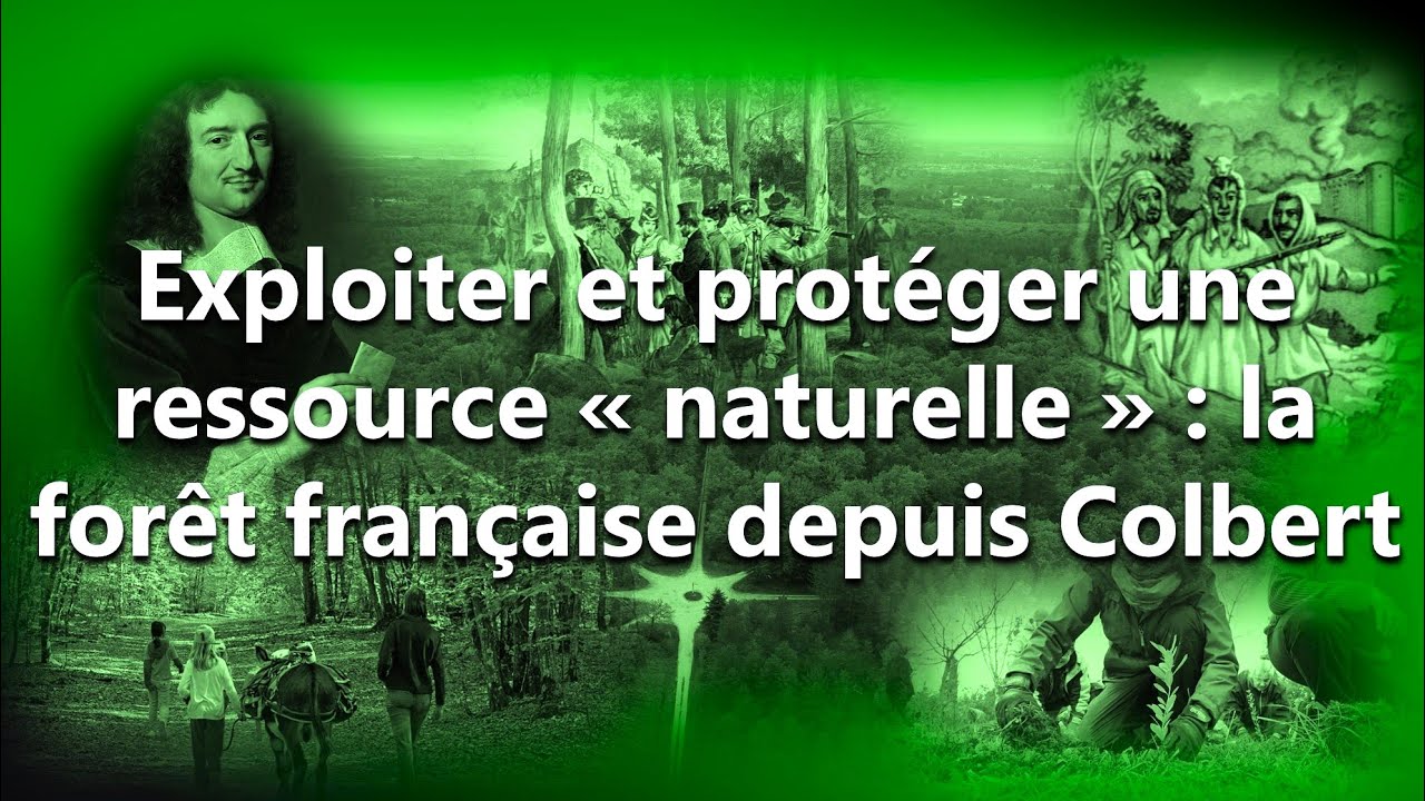 Exploiter et prot&eacute;ger une ressource &laquo;&nbsp;naturelle&nbsp;&raquo; : la for&ecirc;t fran&ccedil;aise depuis Colbert