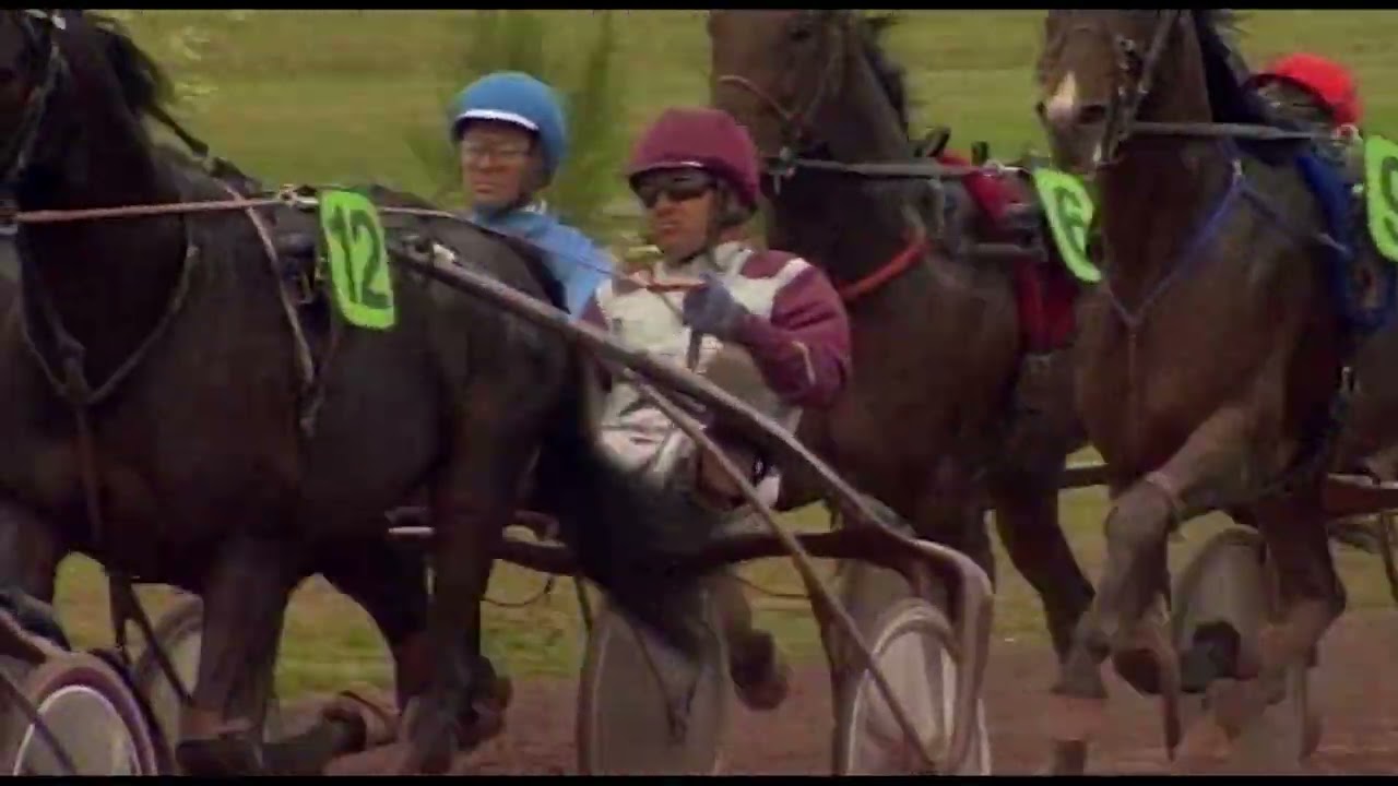 Grand Prix Anjou-Maine 2011 - Hippodrome d'Angers - Ready Cash - Th. Duvaldestin
