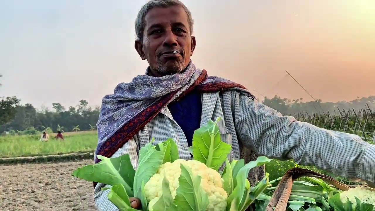 বাংলার সবুজ প্রকৃতি: গ্রামের তাজা শাকসবজির সমাহার। #VillageLife #FreshVegetables #NaturePhotography
