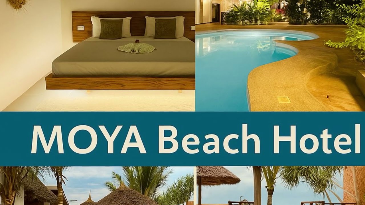 MOYA Beach Hotel - Ocean Reggae