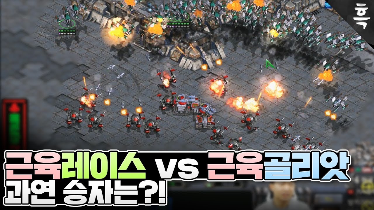 근육레이스 보여줄랬더니 상대는 근육골리앗?! 정면승부 가봅니다.